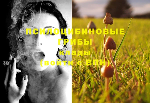 эйфоретик Козельск