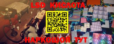 ГАЛЛЮЦИНОГЕННЫЕ ГРИБЫ Гусев